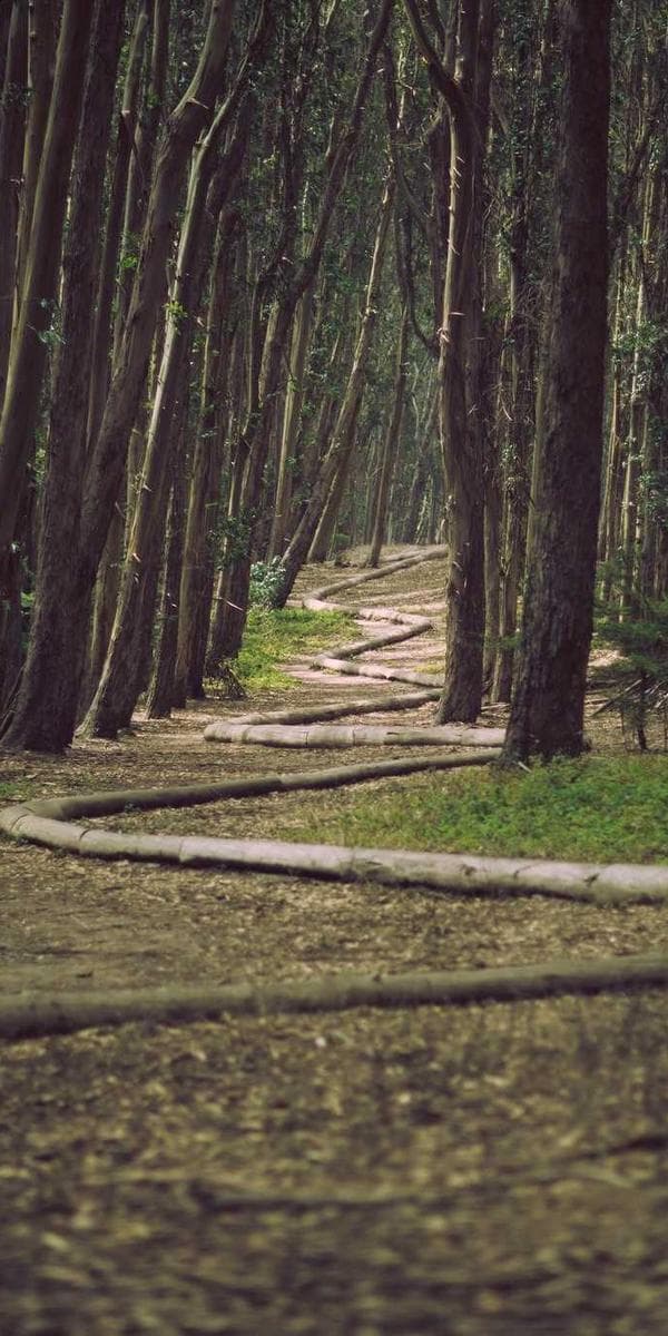 Marked-visning i appen