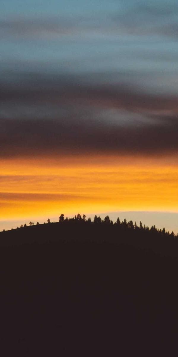 Familie-visning i appen